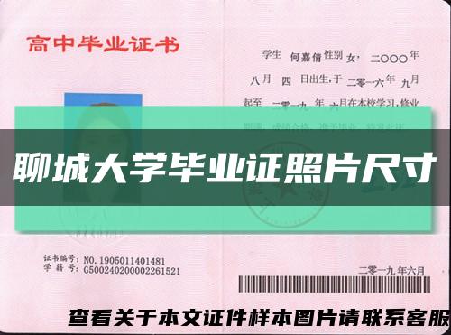 聊城大学毕业证照片尺寸缩略图