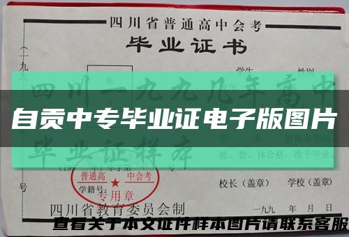 自贡中专毕业证电子版图片缩略图