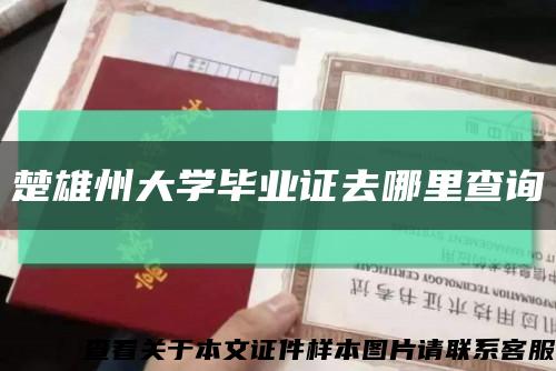 楚雄州大学毕业证去哪里查询缩略图