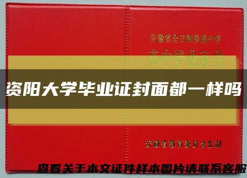 资阳大学毕业证封面都一样吗缩略图