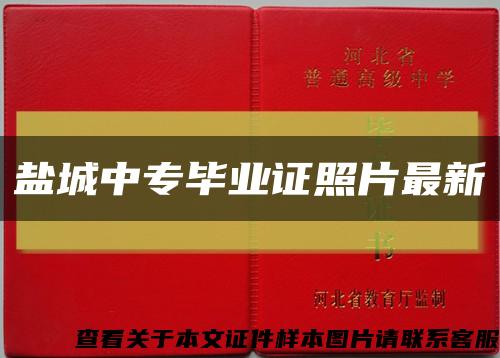 盐城中专毕业证照片最新缩略图