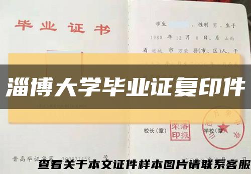 淄博大学毕业证复印件缩略图