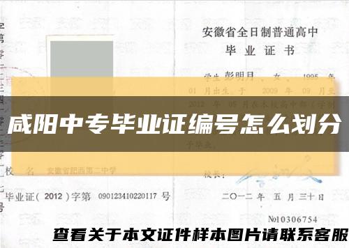 咸阳中专毕业证编号怎么划分缩略图