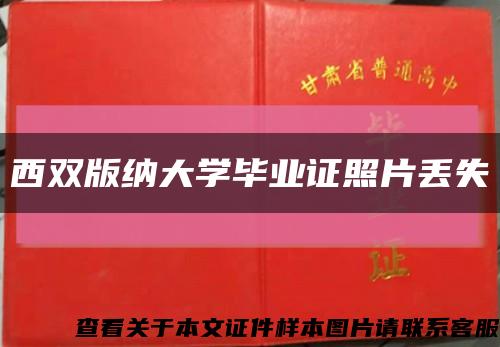 西双版纳大学毕业证照片丢失缩略图