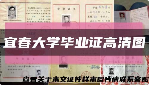 宜春大学毕业证高清图缩略图