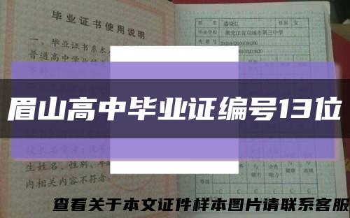 眉山高中毕业证编号13位缩略图