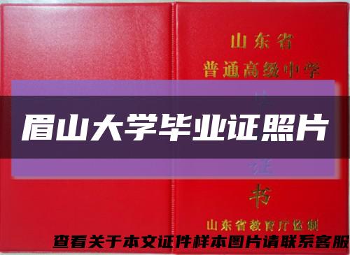 眉山大学毕业证照片缩略图