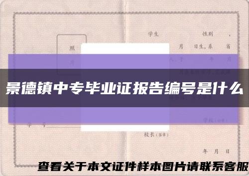 景德镇中专毕业证报告编号是什么缩略图