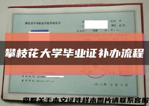 攀枝花大学毕业证补办流程缩略图