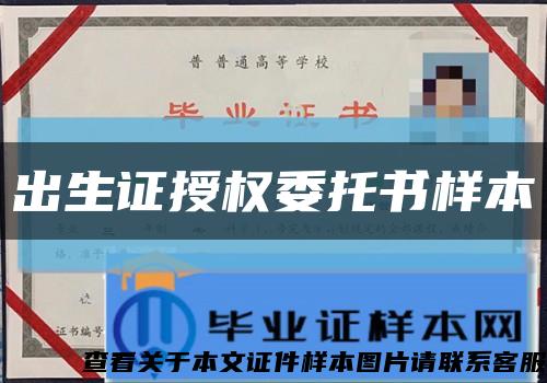 出生证授权委托书样本缩略图