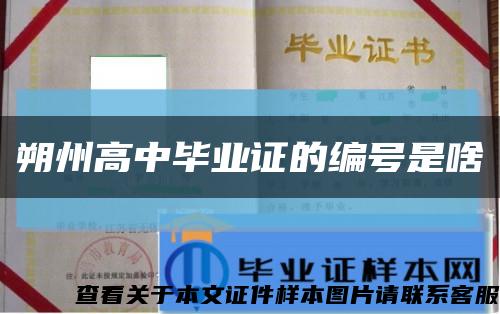 朔州高中毕业证的编号是啥缩略图