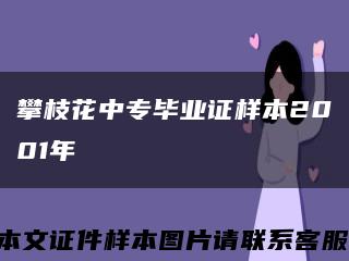 攀枝花中专毕业证样本2001年缩略图