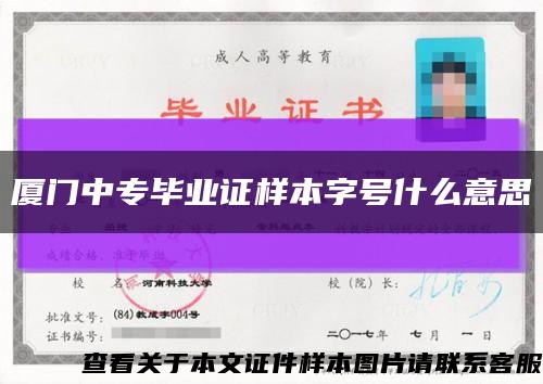 厦门中专毕业证样本字号什么意思缩略图