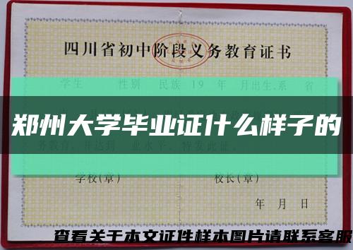 郑州大学毕业证什么样子的缩略图