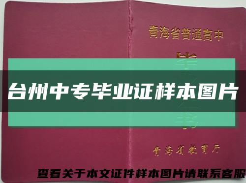 台州中专毕业证样本图片缩略图