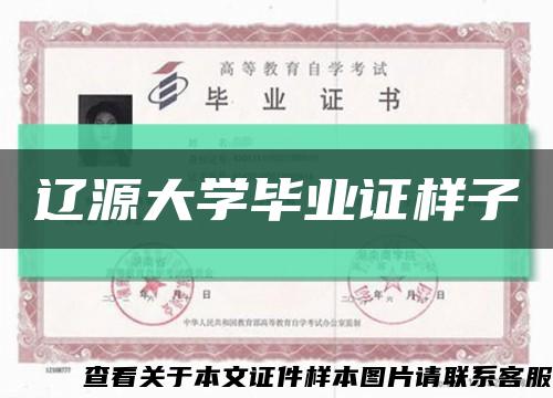 辽源大学毕业证样子缩略图