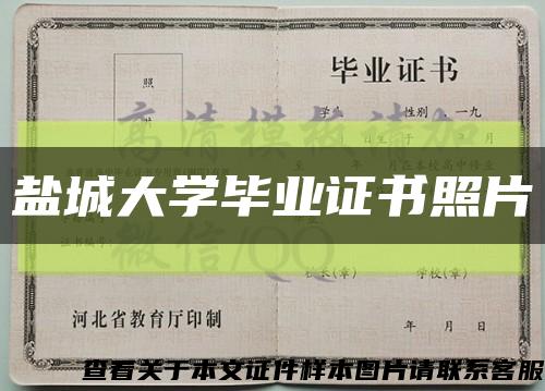 盐城大学毕业证书照片缩略图