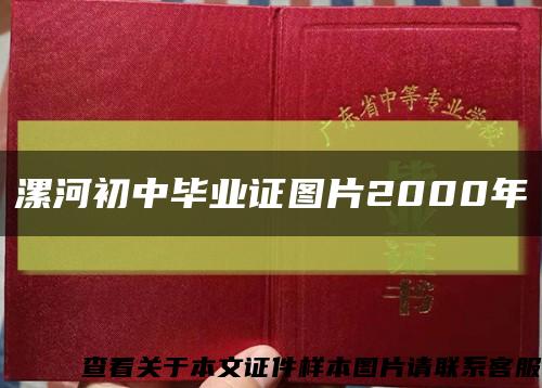 漯河初中毕业证图片2000年缩略图