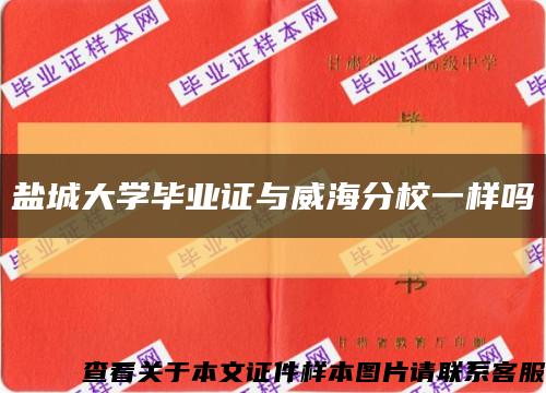 盐城大学毕业证与威海分校一样吗缩略图