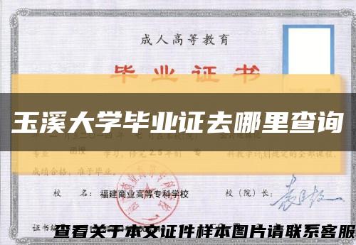 玉溪大学毕业证去哪里查询缩略图