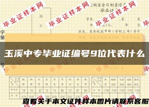 玉溪中专毕业证编号9位代表什么缩略图