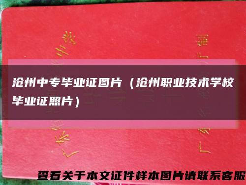 沧州中专毕业证图片（沧州职业技术学校毕业证照片）缩略图