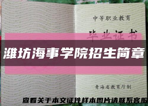 潍坊海事学院招生简章缩略图