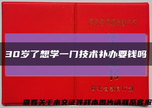 30岁了想学一门技术补办要钱吗缩略图