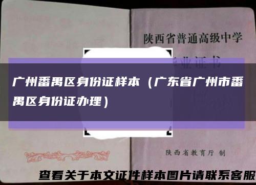 广州番禺区身份证样本（广东省广州市番禺区身份证办理）缩略图