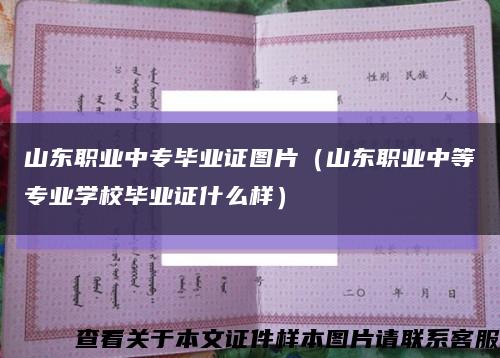 山东职业中专毕业证图片（山东职业中等专业学校毕业证什么样）缩略图