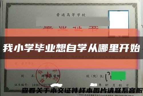 我小学毕业想自学从哪里开始缩略图