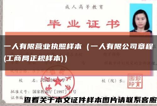 一人有限营业执照样本（一人有限公司章程(工商局正规样本)）缩略图