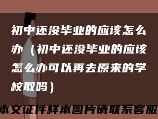 初中还没毕业的应该怎么办（初中还没毕业的应该怎么办可以再去原来的学校取吗）缩略图