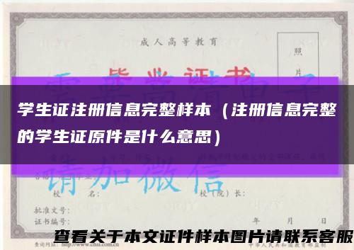 学生证注册信息完整样本（注册信息完整的学生证原件是什么意思）缩略图