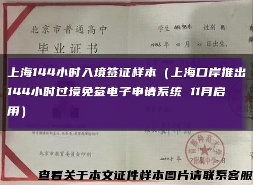 上海144小时入境签证样本（上海口岸推出144小时过境免签电子申请系统 11月启用）缩略图
