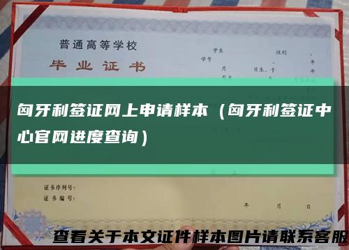 匈牙利签证网上申请样本（匈牙利签证中心官网进度查询）缩略图