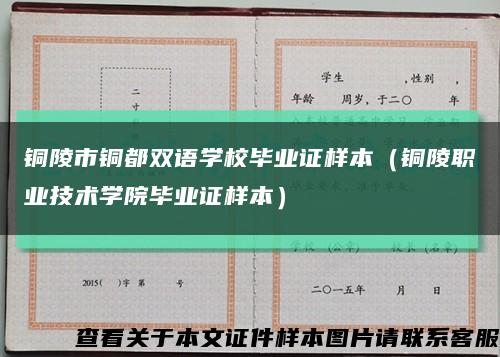 铜陵市铜都双语学校毕业证样本（铜陵职业技术学院毕业证样本）缩略图