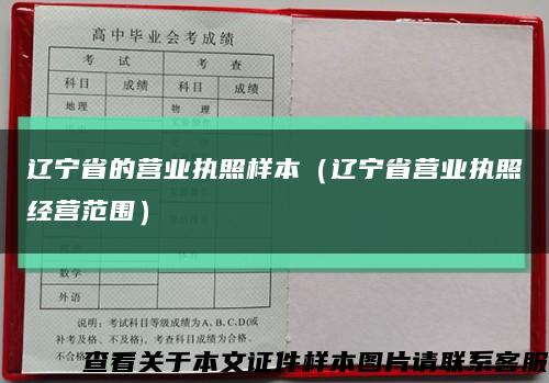 辽宁省的营业执照样本（辽宁省营业执照经营范围）缩略图