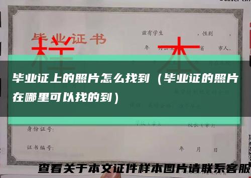 毕业证上的照片怎么找到（毕业证的照片在哪里可以找的到）缩略图