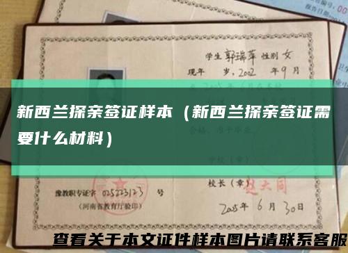 新西兰探亲签证样本（新西兰探亲签证需要什么材料）缩略图