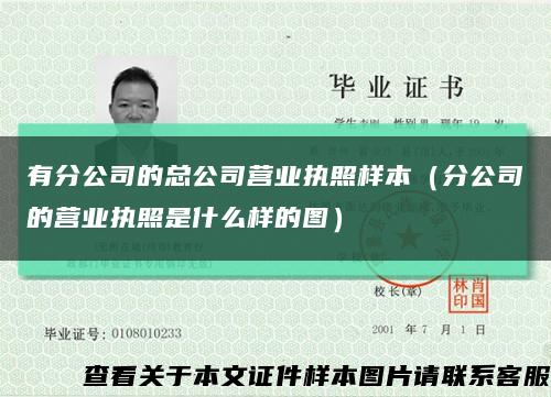 有分公司的总公司营业执照样本（分公司的营业执照是什么样的图）缩略图