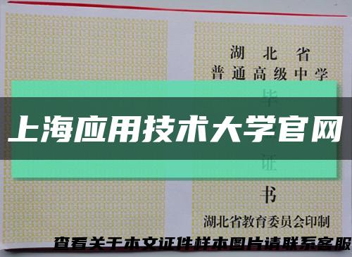 上海应用技术大学官网缩略图