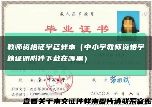 教师资格证学籍样本（中小学教师资格学籍证明附件下载在哪里）缩略图