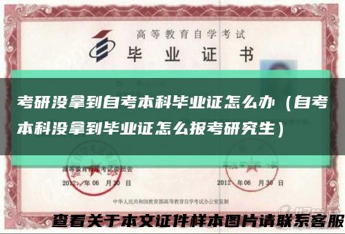 考研没拿到自考本科毕业证怎么办（自考本科没拿到毕业证怎么报考研究生）缩略图