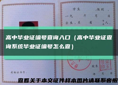 高中毕业证编号查询入口（高中毕业证查询系统毕业证编号怎么查）缩略图