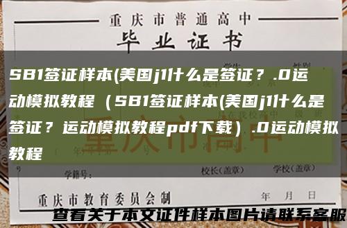 SB1签证样本(美国j1什么是签证？.0运动模拟教程（SB1签证样本(美国j1什么是签证？运动模拟教程pdf下载）.0运动模拟教程缩略图