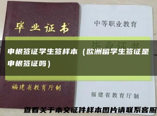 申根签证学生签样本（欧洲留学生签证是申根签证吗）缩略图