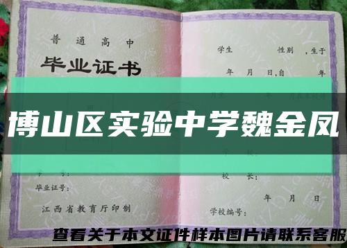 博山区实验中学魏金凤缩略图