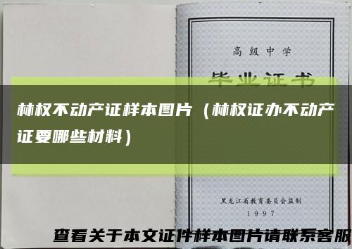 林权不动产证样本图片（林权证办不动产证要哪些材料）缩略图