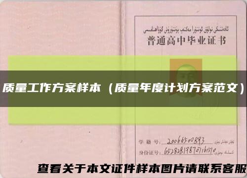 质量工作方案样本（质量年度计划方案范文）缩略图